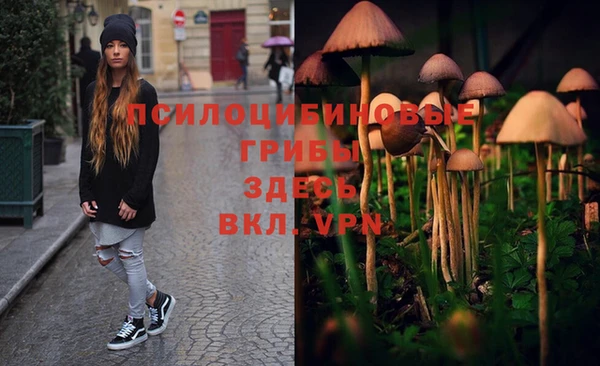 марки lsd Абинск