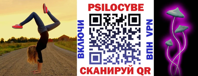 Галлюциногенные грибы Psilocybe  купить наркотик  Усолье 